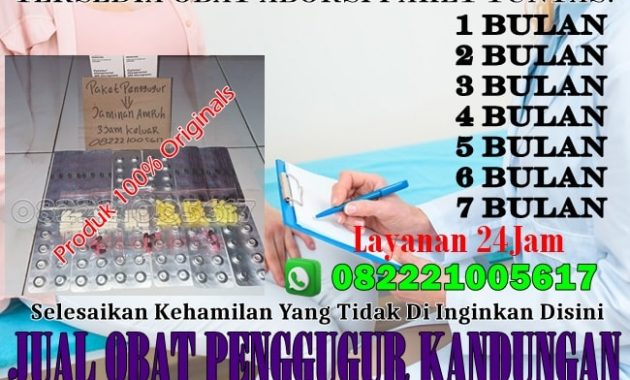 Jual Obat Aborsi Gresik Obat Penggugur Kandungan Misoprostol Asli Ampuh